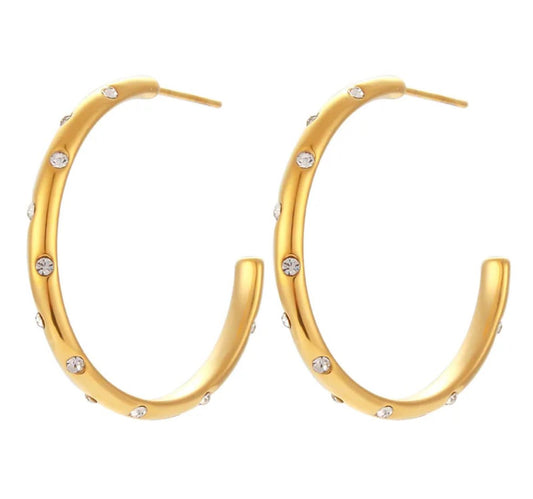 Karinna earrings - Dolché Jewelry